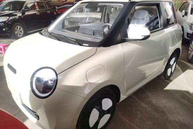 Used CHANGAN NEVO Lumin 2025 205 km Xiangqin Version