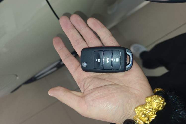Used CHANGAN NEVO Lumin 2025 205 km Xiangqin Version Vehicle Key