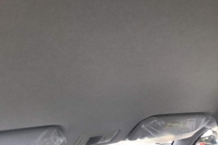 Used CHANGAN NEVO Lumin 2026 Model Treasure Edition 205km Passionate Beige Ningde Headliner