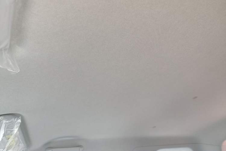 Used CHANGAN NEVO Lumin 2026 Model Treasure Edition 205km Passionate Beige Ningde Headliner