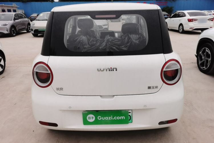 Used CHANGAN NEVO Lumin 2026 Model Treasure Edition 205km Passionate Beige Ningde Rear