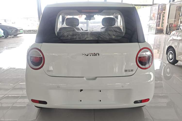 Used CHANGAN NEVO Lumin 2026 Model Treasure Edition 205km Passionate Beige Ningde Rear