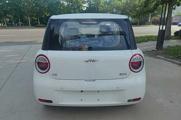 Used CHANGAN NEVO Lumin 2026 Model Treasure Edition 205km Passionate Beige Ningde Rear