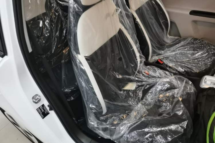 Used CHANGAN NEVO Lumin 2026 Model Treasure Edition 205km Passionate Beige Ningde Right Front Seat