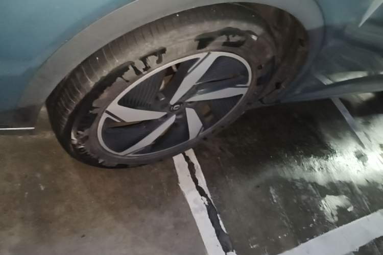 Used CHANGAN NEVO Q05 2023 60 Pro Exterior 4