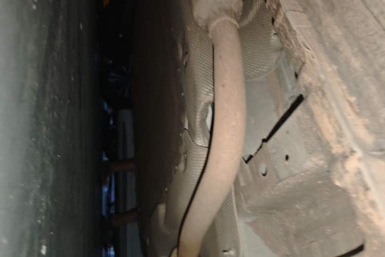Used CHANGAN NEVO Q05 2023 125 Pro Chassis Front Right