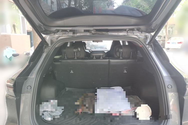 Used CHANGAN NEVO Q05 2023 125 Pro Trunk
