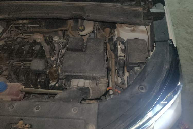 Used CHANGAN NEVO Q05 2023 60 Pro Engine Bay Left