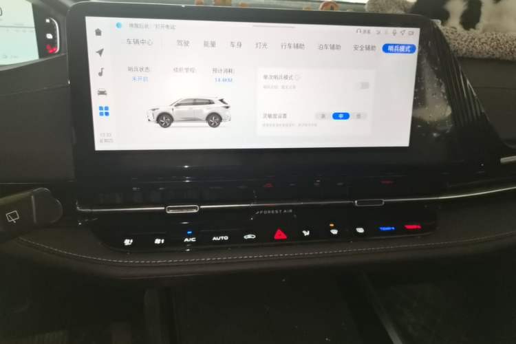 Used CHANGAN NEVO Q05 2024 Truly Delicious Version 125" Beyond-Performance Model CATL Audio And AC Panel