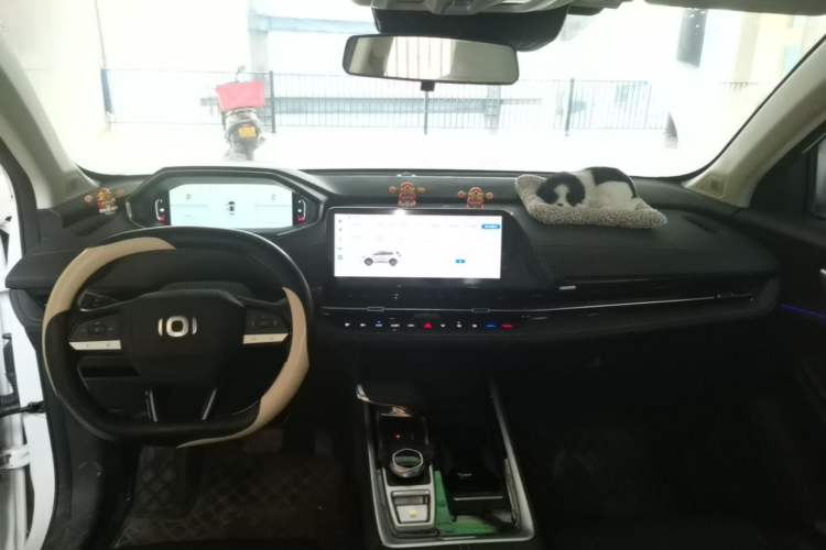 Used CHANGAN NEVO Q05 2024 Truly Delicious Version 125" Beyond-Performance Model CATL Center Console