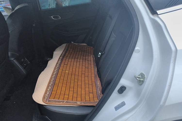 Used CHANGAN NEVO Q05 2024 Truly Delicious Version 125 Excellence Edition CATL Left Rear Seat