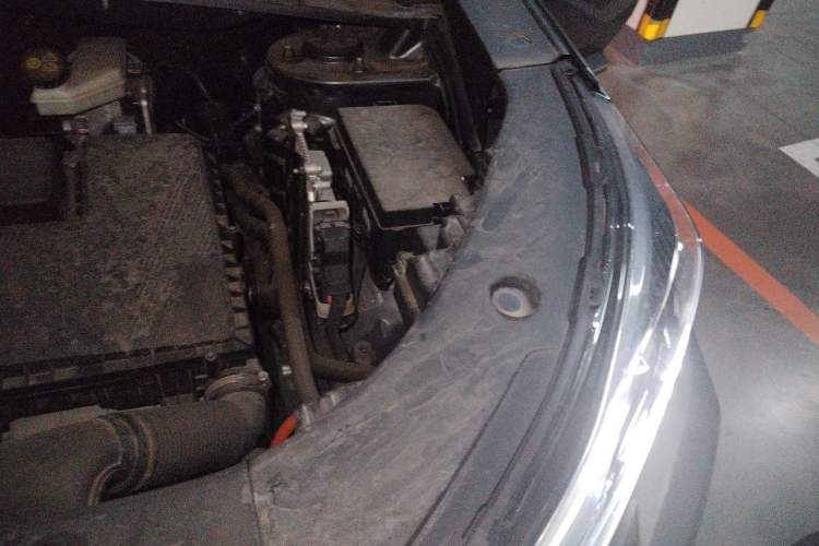 Used CHANGAN NEVO Q05 2025 Truly Delicious Version 125cc Beyond-Excellent Type Engine Bay Left