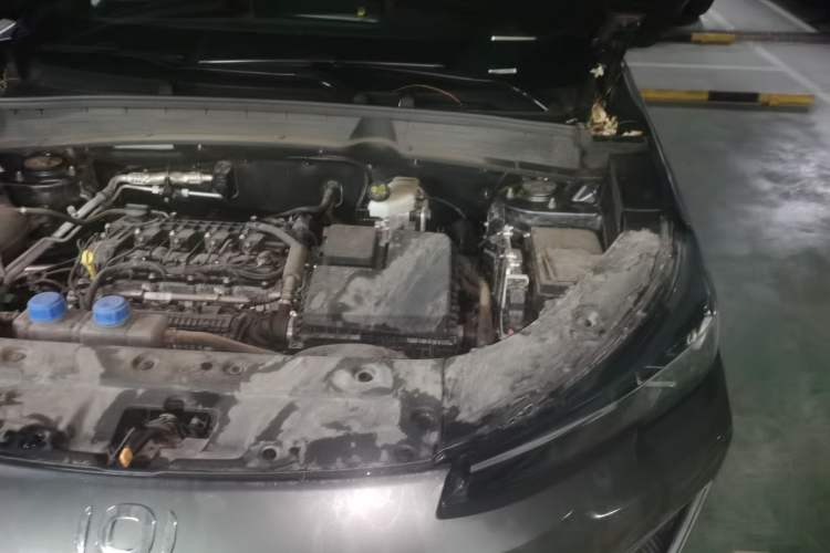 Used CHANGAN NEVO Q05 2025 Truly Delicious Version 125cc Beyond-Excellent Type Engine Bay Left