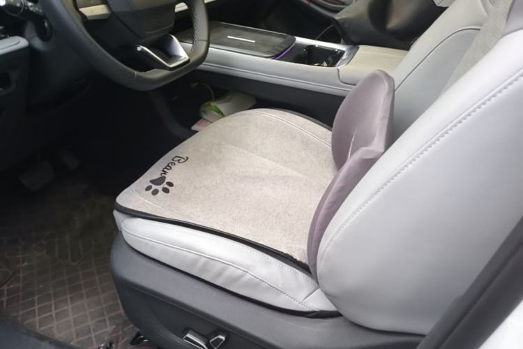 Used CHANGAN NEVO Q05 2025 Truly Delicious Version 125cc Beyond-Excellent Type Left Front Seat
