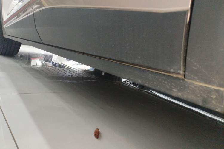 Used CHANGAN NEVO Q05 2026 Model 506 Max Left Side Sill