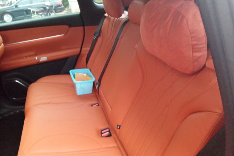 Used CHANGAN NEVO Q07 2025 145 Zun Yao Trim Left Rear Seat