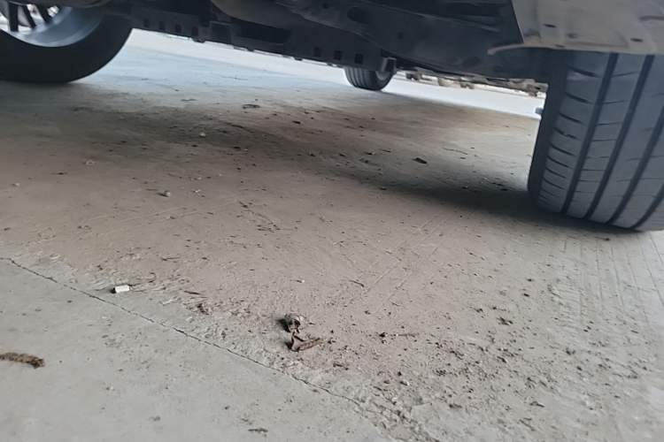 Used CHANGAN NEVO Q07 2025 215 Flagship Edition Chassis Rear Right