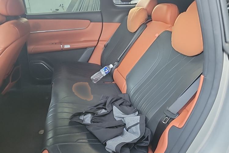 Used CHANGAN NEVO Q07 2025 215 Flagship Edition Left Rear Seat