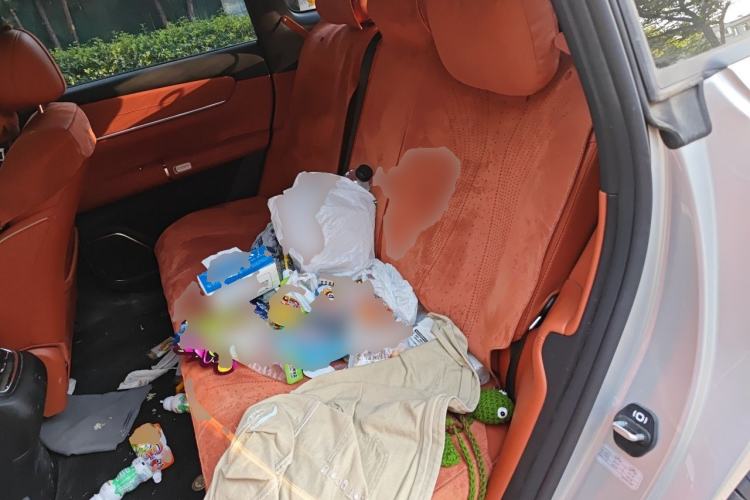 Used CHANGAN NEVO Q07 2025 145 Zun Yao Trim Left Rear Seat