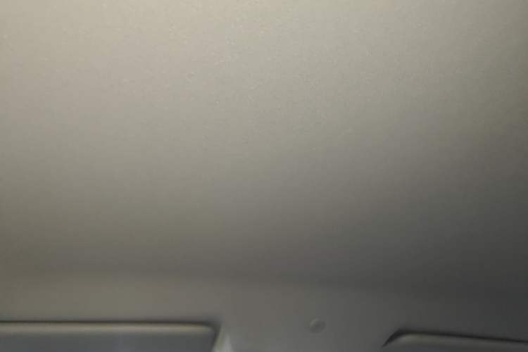 Used CHANGAN OSHAN 520 2025 Standard Edition Headliner