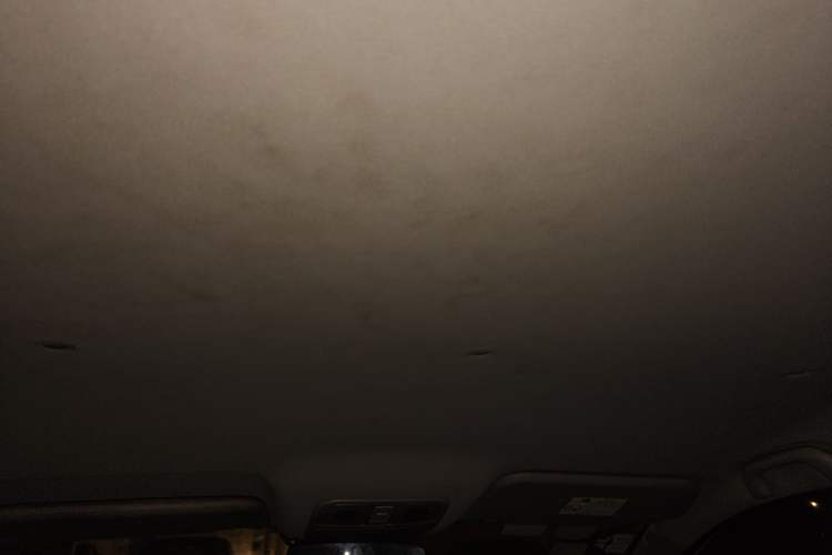 Used CHANGAN OSHAN A600EV 2018 EV model Headliner