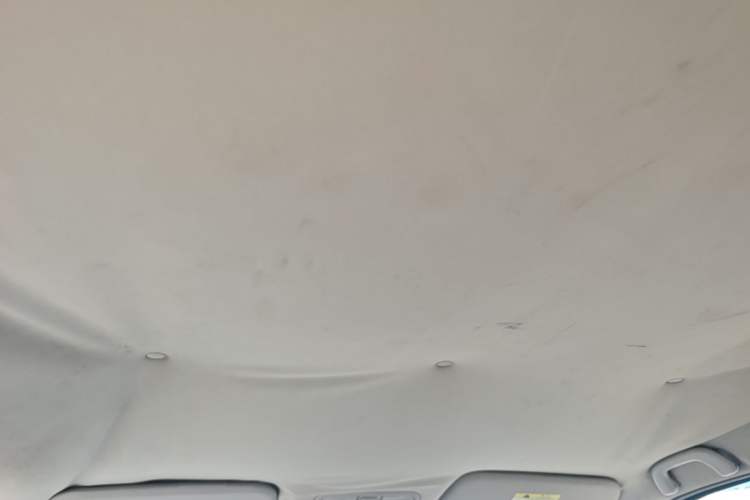 Used CHANGAN OSHAN A600EV 2018 EV model Headliner