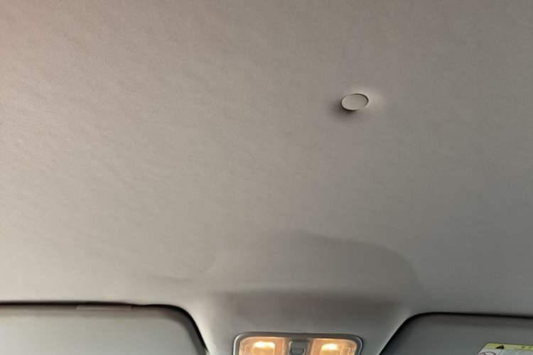 Used CHANGAN OSHAN A600EV 2018 EV model Headliner