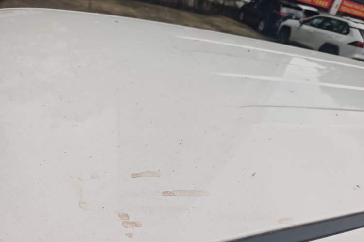 Used CHANGAN OSHAN A600EV 2018 EV model Roof