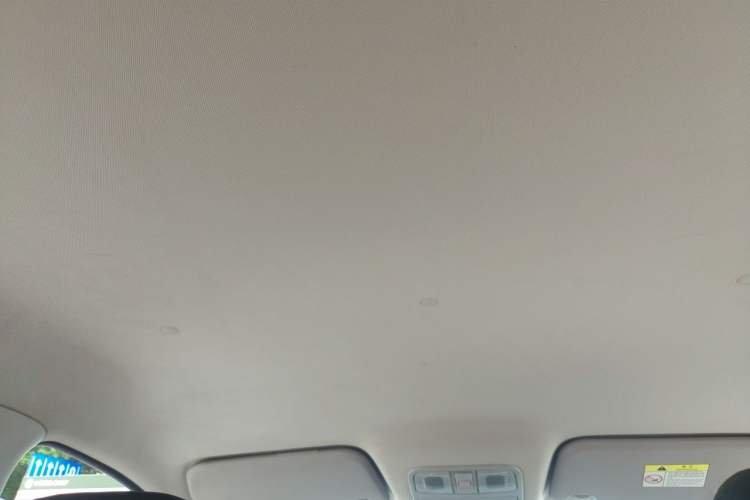 Used CHANGAN OSHAN A600EV 2019 Revised Version 6 Seats Headliner
