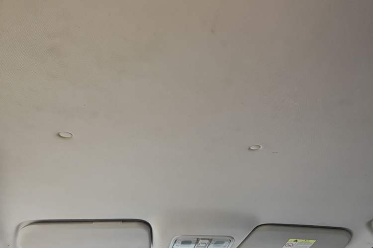 Used CHANGAN OSHAN A600EV 2019 Revised Version 5 Seats Headliner