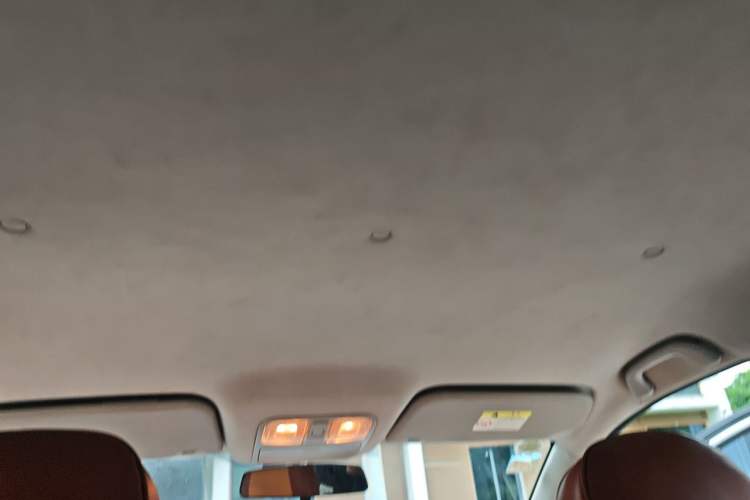 Used CHANGAN OSHAN A600EV 2019 EV model Headliner