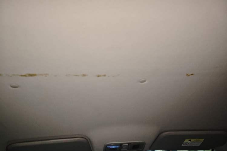 Used CHANGAN OSHAN A600EV 2019 Revised Version 5 Seats Headliner