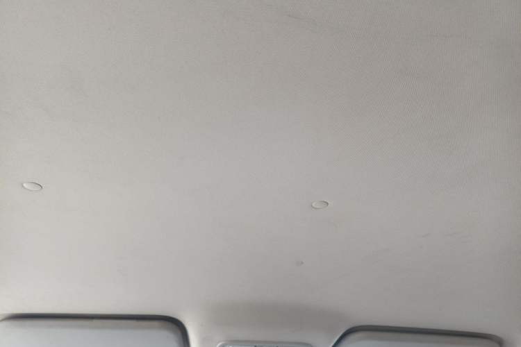 Used CHANGAN OSHAN A600EV 2021 EV model Headliner