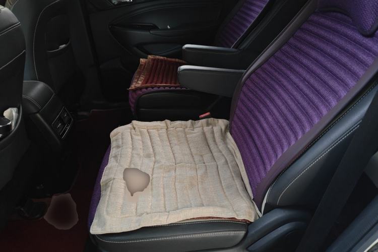 Used CHANGAN OSHAN A800 2017 1.5T Automatic Luxury Model Left Rear Seat