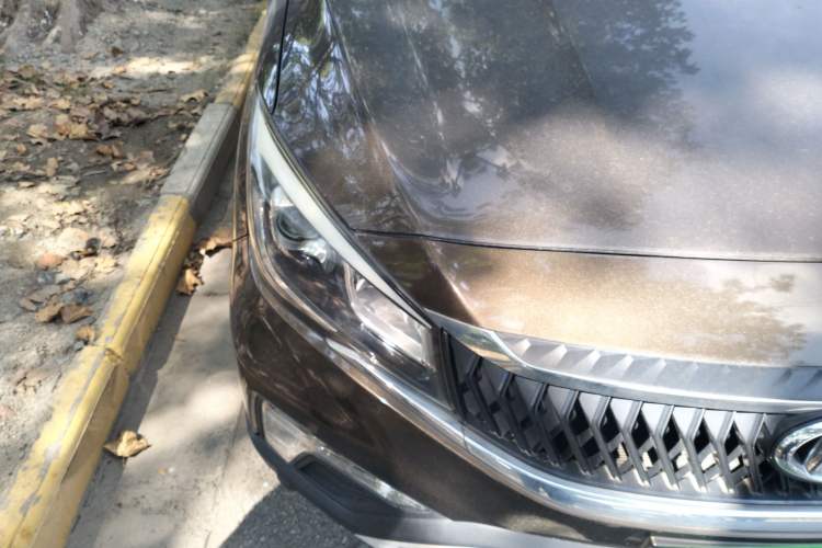 Used CHANGAN OSHAN A800 2019 1.6L Manual Comfort Model China V Standard Exterior 6