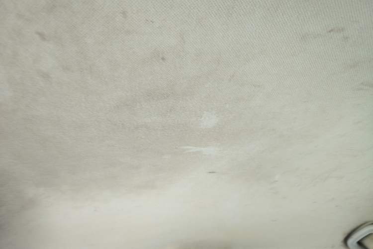 Used CHANGAN OSHAN A800 2019 1.6L Manual Comfort Model China V Standard Headliner