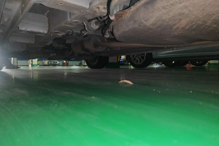 Used CHANGAN OSHAN A800 2019 1.6L Manual Comfort Model China V Standard Chassis Rear Left