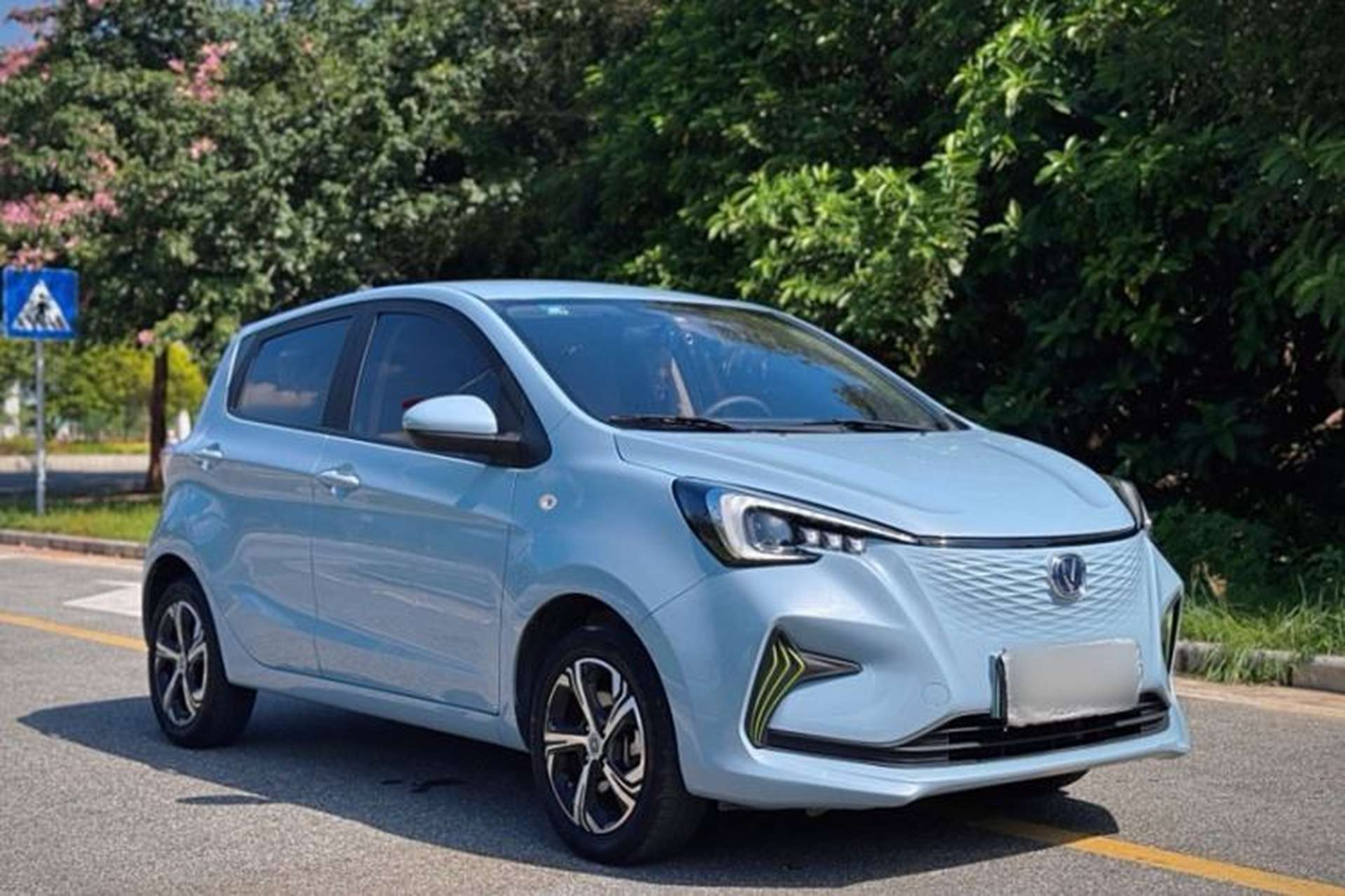 Used CHANGAN OSHAN Benni E-Star 2020 Xinyue Edition Lithium Iron Phosphate (31.95 kWh) Exterior 9