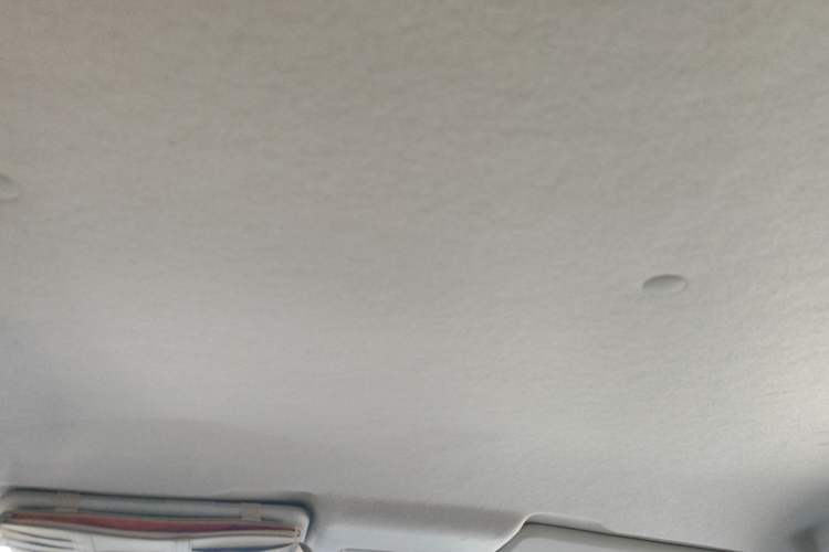 Used CHANGAN OSHAN Benni E-Star 2020 Heartbeat Edition NMC Lithium Headliner
