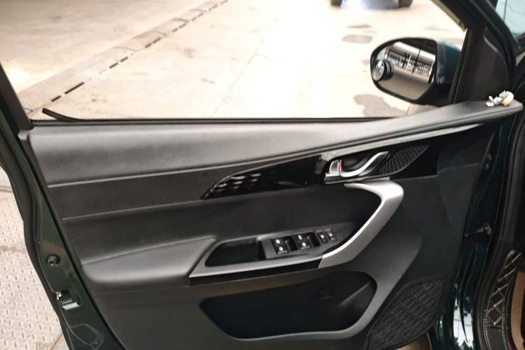 Used CHANGAN OSHAN Benni E-Star 2020 Heart Edition Lithium Iron Phosphate (31.18 kWh) Left Front Door Interior