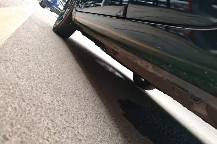 Used CHANGAN OSHAN Benni E-Star 2020 Heart Edition Lithium Iron Phosphate (31.18 kWh) Left Side Sill