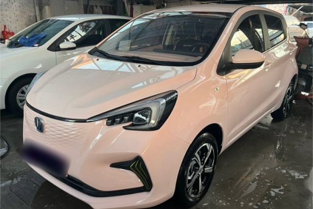 Used CHANGAN OSHAN Benni E-Star 2020 Heart Edition Lithium Iron Phosphate (31.18 kWh)