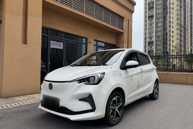 Used CHANGAN OSHAN Benni E-Star 2020 Heartbeat Edition NMC Lithium