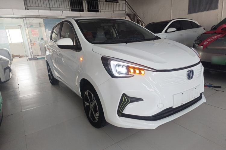 Used CHANGAN OSHAN Benni E-Star 2020 Heartbeat Edition NMC Lithium Exterior 1