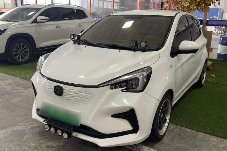 Used CHANGAN OSHAN Benni E-Star 2020 Xinyue Edition Lithium-NMC Exterior 1