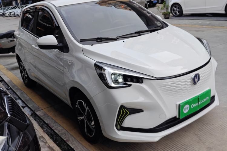 Used CHANGAN OSHAN Benni E-Star 2020 Heartbeat Edition NMC Lithium Exterior 2
