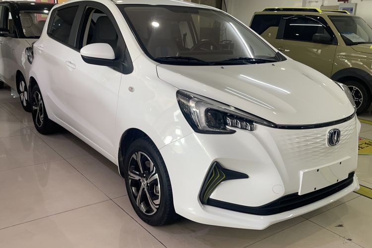 Used CHANGAN OSHAN Benni E-Star 2020 Xinyue Edition Lithium Iron Phosphate (31.18 kWh) Exterior 2