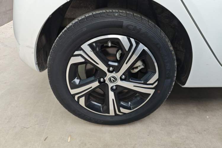Used CHANGAN OSHAN Benni E-Star 2020 Heart Edition Lithium Iron Phosphate (31.95 kWh) Exterior 5