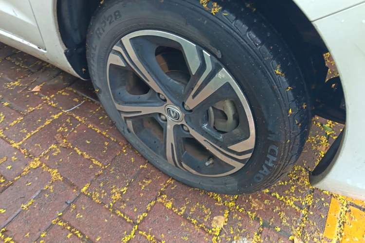 Used CHANGAN OSHAN Benni E-Star 2020 Xinyue Edition Lithium Iron Phosphate (31.18 kWh) Exterior 7
