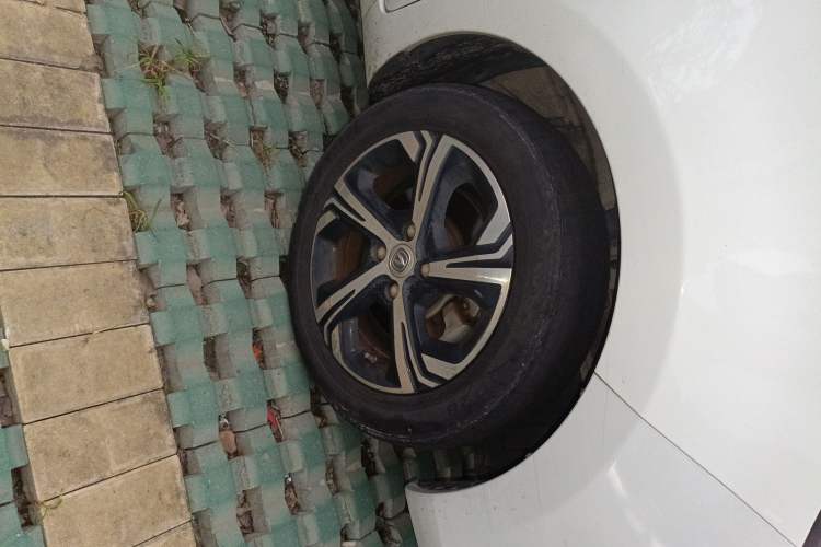 Used CHANGAN OSHAN Benni E-Star 2020 Xinyue Edition Lithium-NMC Exterior 7
